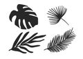 Set of four tropical leaves.